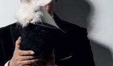 卓伟2018年最新爆料,娱乐圈惊天秘密大揭秘